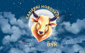 Pracovní horoskop - Býk
